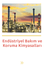  adapazarı Asidik temizleme Sıvısı,  adapazarı banka temizliği,  adapazarı banyo temizyecisi,  adapazarı Bulaşık Temizlik Ürünleri,  adapazarı Cam Temizleme Ekipmanları,  adapazarı cami temizlik maddeleri,  adapazarı cami temizlik malzemeleri,  adapazarı Çamaşır Temizlik Ürünleri,  adapazarı endüstriyel temizlik,  adapazarı endüstriyel temizlik ürünleri,  adapazarı Fabrika ve Üretim Alanı temizliği,  adapazarı temizlik,  adapazarı Temizlik Aksesuarları, Makineleri ve Aparatları,  adapazarı temizlik ekipmanları satış firması,  adapazarı temizlik ekipmanları satışı,  adapazarı Temizlik Ekipmanları ve Sarf Malzemeleri,  adapazarı temizlik fırçaları,  adapazarı temizlik fırçası fiyatları,  adapazarı temizlik fırçası satanlar,  adapazarı temizlik malzemeleri,  adapazarı temizlik malzemeleri toptancıları,  adapazarı temizlik ürünleri,  adapazarı toptan temizlik malzemeleri,  adapazarı toptan temizlik ürünleri,  adapazarı Tuvalet - Banyo Temizleme,  adapazarı ucuz temizlik fırçaları,  adapazarı Yer Temizleme Ekipmanları,  adapazarı Yosun Temizleyici,  adapazarı zemin temizliği,  adapazarı Zemin Temizlik Ürünleri,  adapazarı Zift Temizleme,  adapazarı zift temizleyici,  ahşap temizleyici ve parlatıcı / konsantre,  Asidik temizleme Sıvısı,  Banka Temizliği,  banyo temizyecisi,  Cam Temizleme Ekipmanları,  Cam Yüzey Temizleme,  cami temizlik maddeleri,  cami temizlik malzemeleri,  Çamaşır Temizlik Ürünleri,  Detay Temizlik,  Ev Temizliği,  ev temizlik ürünleri,  fabrika temizliği,  genel temizlik,  genel temizlik sıvısı,  Genel Temizlik Ürünleri,  kimyasallar temizlik ürünleri,  sakarya bulaşık temizlik ürünleri,  sakarya cami temizlik maddeleri,  sakarya cami temizlik malzemeleri,  sakarya çamaşır temizlik ürünleri,  sakarya El Temizleme Kremi,  sakarya endüstriyel temizlik ürünleri,  sakarya Epoksi Zemin temizleme / Matik,  sakarya fırça ve temizlik ürünleri,  sakarya Genel Maksatlı İç Temizlemeciler,  sakarya genel temizlik ürünleri,  sakarya halı temizlemeciler,  sakarya halı temizleyicileri,  sakarya konsantre genel temizlik sıvıları,  sakarya tam amaçlı temizleyiciler,  sakarya temizlik,  sakarya Temizlik Aksesuarları, Makineleri ve Aparatları,  sakarya temizlik ekipmanları satış firması,  sakarya temizlik ekipmanları satışı,  sakarya Temizlik Ekipmanları ve Sarf Malzemeleri,  sakarya temizlik fırçaları,  sakarya temizlik fırçası fiyatları,  sakarya temizlik fırçası satanlar,  sakarya temizlik hizmetleri,  sakarya temizlik malzemeleri,  sakarya temizlik malzemeleri toptancıları,  sakarya temizlik ürünleri,  sakarya toptan temizlik malzemeleri,  sakarya toptan temizlik ürünleri,  sakarya Yer Temizleme Ekipmanları,  sakarya zemin temizliği hizmetleri,  sakarya Zift Temizleme,  sakarya zift temizleyici,  temiz,  temizlemeciler,  temizlik,  Temizlik Aksesuarları, Makineleri ve Aparatları,  temizlik aletleri,  temizlik aparatları,  temizlik bezleri,  temizlik ekipmanları satışı,  temizlik ekipmanları satışı yapan firma,  Temizlik Ekipmanları ve Sarf Malzemeleri,  temizlik fırçaları,  temizlik fırçası,  temizlik malzemeleri,  Temizlik Malzemeleri Adapazarı Sakarya,  temizlik malzemesi,  temizlik sektörü,  temizlik ürünleri,  temizlik ürünleri toptan satış,  temizlik ve hijyen ürünleri,  toptan temizlik ürünleri,  toptan temizlik ve hijyen ürünleri satışı,  zift ve katranın temizlenmesi,  endüstriyel malzeme,  peçete havlu ve tuvalet kağıtları,  tuvalet kağıdı,  adapazarı Fırçasız Cilalı Oto Yıkama / Köpüklü,  adapazarı Fırçasız Cilalı Oto Yıkama / Köpüklü / Eko,  fırçasız cilalı köpüklü oto yıkama ürünleri,  fırçasız cilalı oto yıkama / köpüklü,  fırçasız cilalı oto yıkama / köpüklü / eko,  fırçasız oto yıkama deterjanı,  fırçasız oto yıkama şampuanı,  oto yıkama,  oto yıkama malzemeleri,  sakarya adapazarı fırçasız oto yıkama şampuanı,  sakarya Fırçasız Cilalı Oto Yıkama / Köpüklü,  sakarya Fırçasız Cilalı Oto Yıkama / Köpüklü / Eko,  adapazarı Oto Şampuanı,  oto şampuanı,  sakarya Oto Şampuanı,  adapazarı Detay Temizlik,  detay temizleme,  sakarya Detay Temizlik,  adapazarı Jant Temizleme,  adapazarı Jant Temizleyici,  jant temizleme,  Jant Temizleyici,  sakarya Jant Temizleme,  sakarya Jant Temizlemeciler,  sakarya Jant Temizleyici,  adapazarı Motor Temizleme,  motor temizleme,  motor temizleme motor temizleme,  sakarya Motor Temizleme,  sakarya motor temizliği,  adapazarı torpido koruyucu,  adapazarı Torpido Parlatıcı Jel,  adapazarı Torpido Parlatıcı Süt,  sakarya torpido koruyucu,  sakarya Torpido Parlatıcı Jel,  sakarya Torpido Parlatıcı Süt,  torpido parlatıcı jel,  torpido parlatıcı süt,  torpido parlatıcıları,  torpido parlatma,  torpido spreyleri,  torpido temizleme,  adapazarı Lastik Parlatıcı,  adapazarı Lastik ve Lastik Parlatıcı firmaları,  adapazarı Lastik ve Lastik Parlatıcısı,  adapazarı Lastik ve Lastik Parlatma yapanlar,  adapazarı Lastik ve Plastik Parlatıcı Jel,  lastik parlatıcı,  lastik parlatma,  Lastik ve Lastik Parlatıcısı,  lastik ve plastik parlatıcı jel,  sakarya Lastik Parlatıcı,  sakarya Lastik ve Lastik Parlatıcısı,  sakarya Lastik ve Lastik Parlatımı yapan firmalar,  sakarya Lastik ve Lastik Parlatımı yapanlar,  sakarya Lastik ve Plastik Parlatıcı Jel,  adapazarı Deri Vinil Temizlik,  deri vinil temizlik,  sakarya Deri Vinil Temizlik,  adapazarı Koltuk ve Kumaş Koruma,  koltuk ve kumaş koruma,  sakarya Koltuk ve Kumaş Koruma,  adapazarı Oto ve Oto Parfümü,  oto parfüm,  oto ve oto parfümü,  sakarya Oto ve Oto Parfümü,  adapazarı motor koruma,  adapazarı Motor Koruma ve Parlatma,  motor koruma,  motor koruma ve parlatma,  motor koruması,  sakarya motor koruma,  sakarya Motor Koruma ve Parlatma,  adapazarı Hızlı Cila,  hızlı cila,  sakarya Hızlı Cila,  adapazarı Fren Balata Temizleyici,  fren balata temizleyici,  sakarya Fren Balata Temizleyici,  zift temizleme,  adapazarı Wax Sökücü,  sakarya Wax Sökücü,  wax sökücü,  adapazarı Kireç Sökücü,  kireç sökücü,  sakarya Kireç Sökücü,  adapazarı Parça Temizleme Sıvası,  Parça Temizleme Sıvası,  sakarya Parça Temizleme Sıvası,  adapazarı Cam Suyu,  cam suyu,  sakarya Cam Suyu,  adapazarı antifiriz,  antifiriz,  sakarya antifiriz,  adapazarı Araç Bakım Ürünleri,  araç bakım ürünleri,  sakarya Araç Bakım Ürünleri,  adapazarı El Temizleme Kremi,  el temizleme kremi,  adapazarı İşçi El Yıkama Sıvısı / Konsantre,  çocuklarda el yıkama,  işçi el yıkama sıvısı / konsantre,  sakarya çocuklarda el yıkama,  sakarya İşçi El Yıkama Sıvısı / Konsantre,  adapazarı Epoksi Zemin temizleme / Matik,  epoksi zemin temizleme / matik,  adapazarı zemin temizleme firmaları,  sakarya zemin temizleme,  zemin temizleme,  adapazarı Endüstriyel bulaşık Makina Kireç Çözücü,  adapazarı Endüstriyel Bulaşık Makinası Deterjanı,  adapazarı Endüstriyel Bulaşık Makinası Parlatıcısı,  endüstriyel bulaşık makina kireç çözücü,  endüstriyel bulaşık makinası deterjanı,  endüstriyel bulaşık makinası parlatıcısı,  sakarya Endüstriyel bulaşık Makina Kireç Çözücü,  sakarya Endüstriyel Bulaşık Makinası Deterjanı,  sakarya Endüstriyel Bulaşık Makinası Parlatıcısı,  sakarya Asidik temizleme Sıvısı,  adapazarı Endüstriyel Yağ Çözücü/ Su Bazlı,  endüstriyel yağ çözücü/ su bazlı,  sakarya Endüstriyel Yağ Çözücü/ Su Bazlı,  adapazarı Ağır Yağ, Gres, Katran Çözücü / Konsantre,  ağır yağ sökücü,  ağır yağ, gres, katran çözücü / konsantre,  sakarya Ağır Yağ, Gres, Katran Çözücü / Konsantre,  adapazarı Pas ve Korozyon Önleyici / Konsantre,  pas ve korozyon önleyici / konsantre,  sakarya Pas ve Korozyon Önleyici / Konsantre,  adapazarı Metal Yüzey hazırlayıcıs,  metal yüzey hazırlayıcısı,  sakarya Metal Yüzey hazırlayıcısı,  adapazarı Boya Sökücü,  boya sökücü,  sakarya Boya Sökücü,  adapazarı Mürekkep Sökücü,  mürekkep sökücü,  sakarya Mürekkep Sökücü,  adapazarı Krom temizleyici ve parlatıcı,  krom temizleyici ve parlatıcı,  sakarya Krom temizleyici ve parlatıcı,  adapazarı Metal Kesme ve Soğutma Sıvısı / Konsantre,  metal kesme ve soğutma sıvısı / konsantre,  sakarya Metal Kesme ve Soğutma Sıvısı / Konsantre,  adapazarı Solvent İçermeyen Yağ Çözücü / Konsantre,  sakarya Solvent İçermeyen Yağ Çözücü / Konsantre,  solvent içermeyen yağ çözücü / konsantre,  adapazarı yağ çözücü,  adapazarı Yağ Çözücü Solvent,  sakarya yağ çözücü,  sakarya Yağ Çözücü Solvent,  yağ çözücü solvent,  adapazarı Beton ve Harç Temizleme,  Beton ve Harç Temizleme,  Kendiliğinden Yerleşen Beton ve Harçlar,  sakarya Beton ve Harç Temizleme,  sakarya Yosun Temizleyici,  yosun temizleyici